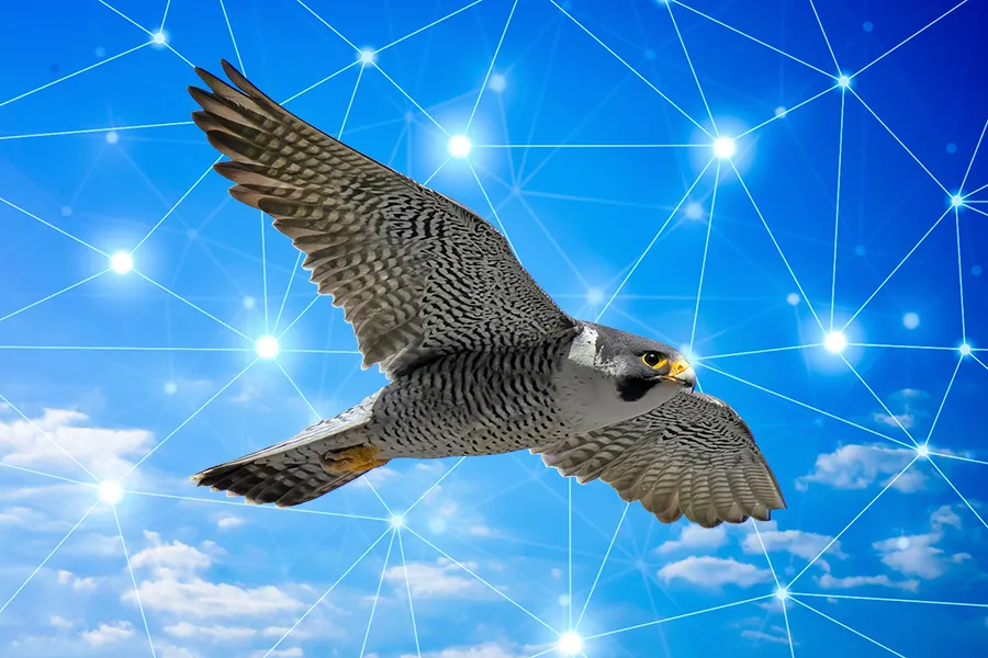 ハヤブサ、空、光の世界観を表すイメージ
